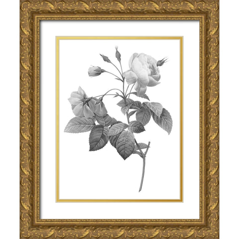 Greyscale Floral Three Gold Ornate Wood Framed Art Print with Double Matting by Villa, Mlli