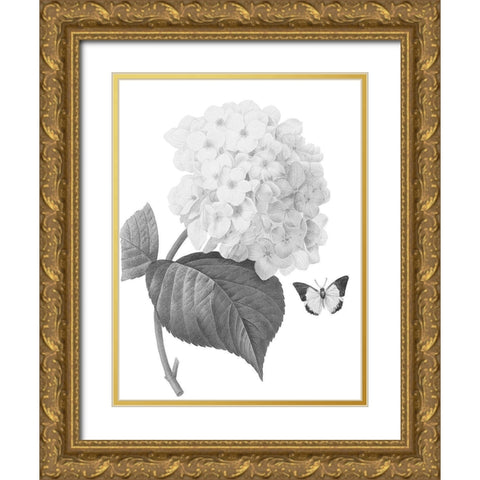Greyscale Floral Four Gold Ornate Wood Framed Art Print with Double Matting by Villa, Mlli