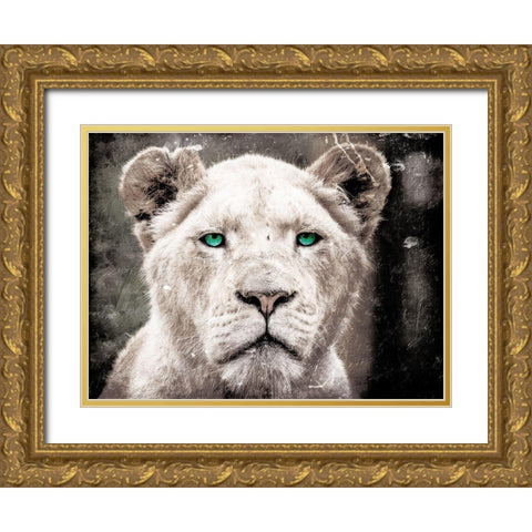 Lioness Look Gold Ornate Wood Framed Art Print with Double Matting by Villa, Mlli