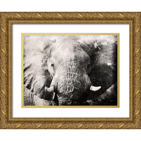 Elephant Look Gold Ornate Wood Framed Art Print with Double Matting by Villa, Mlli