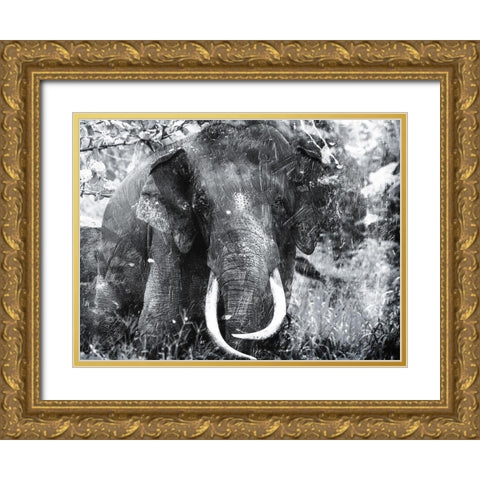 Elephant Look Two Gold Ornate Wood Framed Art Print with Double Matting by Villa, Mlli