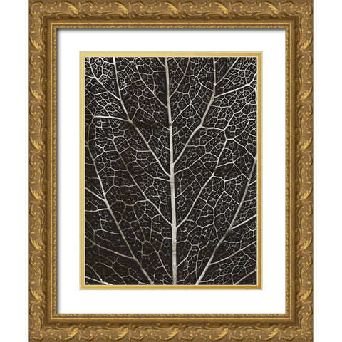 Charcoal Leaf Grain Gold Ornate Wood Framed Art Print with Double Matting by Villa, Mlli