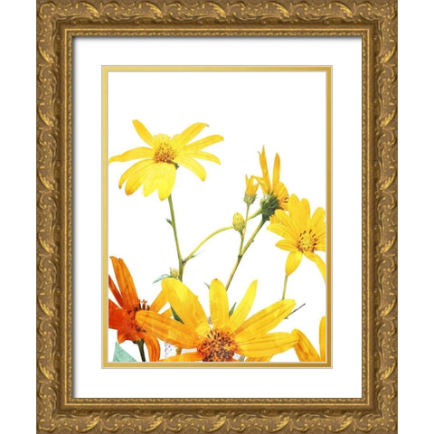 Vibrant Flowers Gold Ornate Wood Framed Art Print with Double Matting by Villa, Mlli