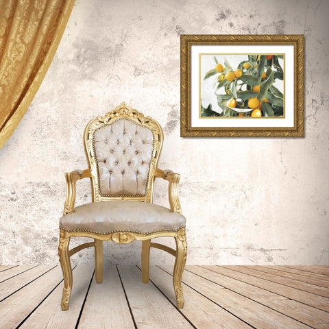 Lemons Gold Ornate Wood Framed Art Print with Double Matting by Villa, Mlli