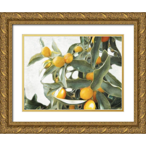Lemons Gold Ornate Wood Framed Art Print with Double Matting by Villa, Mlli