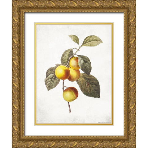 Less Lemons Gold Ornate Wood Framed Art Print with Double Matting by Villa, Mlli