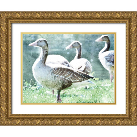 Goose Crew Gold Ornate Wood Framed Art Print with Double Matting by Villa, Mlli