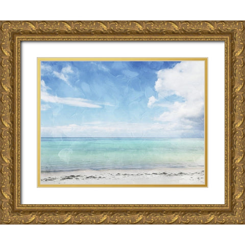 Sea Life Gold Ornate Wood Framed Art Print with Double Matting by Villa, Mlli