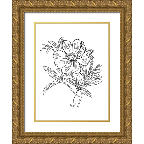 Lined Flowers Mate Gold Ornate Wood Framed Art Print with Double Matting by Villa, Mlli