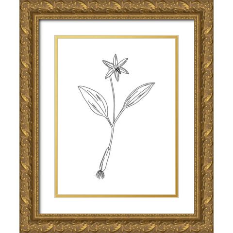 Clean Flowers Gold Ornate Wood Framed Art Print with Double Matting by Villa, Mlli