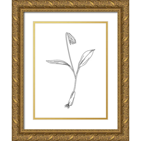 Clean Flowers Mate Gold Ornate Wood Framed Art Print with Double Matting by Villa, Mlli