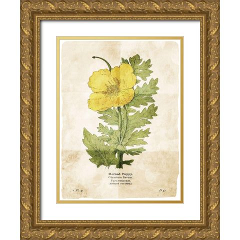 Flower Page Two Gold Ornate Wood Framed Art Print with Double Matting by Villa, Mlli