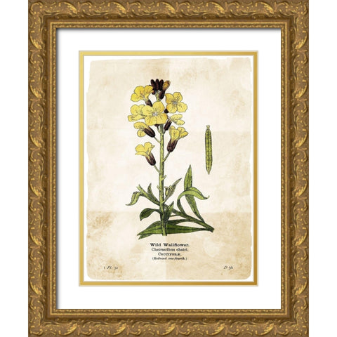 Flower Page Four Gold Ornate Wood Framed Art Print with Double Matting by Villa, Mlli