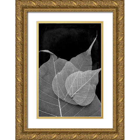 Leaves In The Dark Gold Ornate Wood Framed Art Print with Double Matting by Villa, Mlli