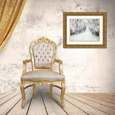 Snow Way Gold Ornate Wood Framed Art Print with Double Matting by Villa, Mlli