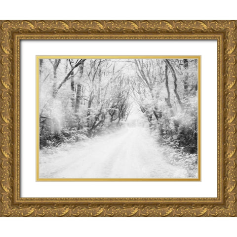 Snow Way Gold Ornate Wood Framed Art Print with Double Matting by Villa, Mlli