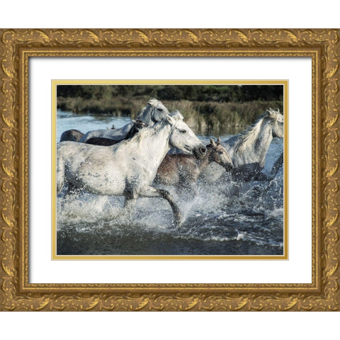 Running Horses Gold Ornate Wood Framed Art Print with Double Matting by Villa, Milli