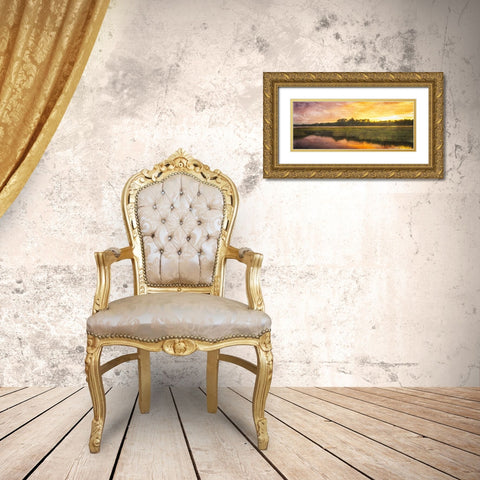 Marsh Sunset Gold Ornate Wood Framed Art Print with Double Matting by Villa, Mlli