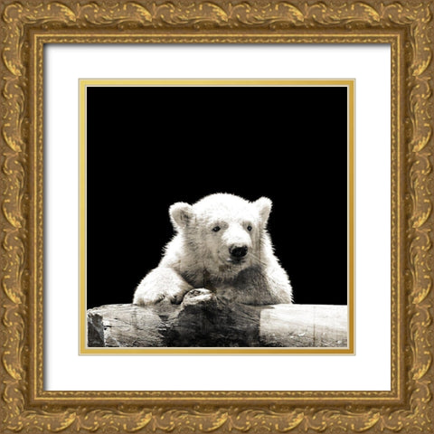 Polar Looks Gold Ornate Wood Framed Art Print with Double Matting by Villa, Mlli