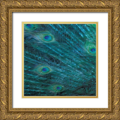 Peacock Galaxy Two Gold Ornate Wood Framed Art Print with Double Matting by Villa, Mlli