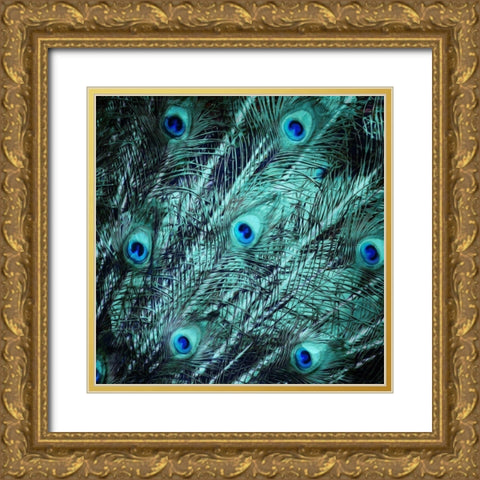 Peacock Spread Gold Ornate Wood Framed Art Print with Double Matting by Villa, Mlli