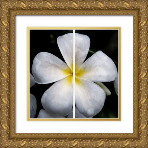 Smile Gold Ornate Wood Framed Art Print with Double Matting by Villa, Mlli
