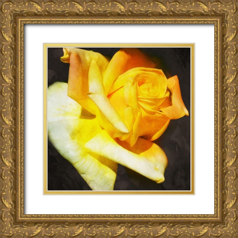 Yellow Rose Gold Ornate Wood Framed Art Print with Double Matting by Villa, Mlli