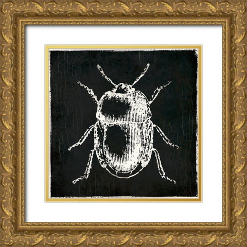 Bug Life Black Gold Ornate Wood Framed Art Print with Double Matting by Villa, Mlli