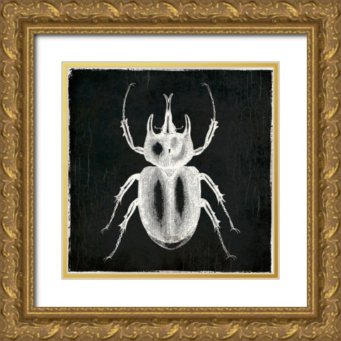 Bug Life Two Black Gold Ornate Wood Framed Art Print with Double Matting by Villa, Mlli