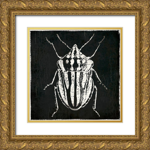 Bug Life Three Black Gold Ornate Wood Framed Art Print with Double Matting by Villa, Mlli