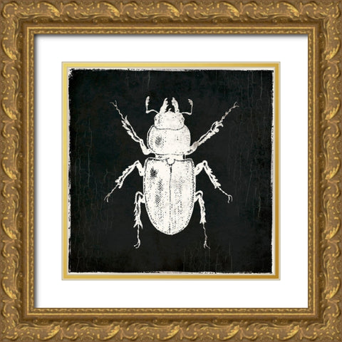 Bug Life Four Black Gold Ornate Wood Framed Art Print with Double Matting by Villa, Mlli