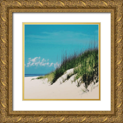 Stormy Dunes Gold Ornate Wood Framed Art Print with Double Matting by Villa, Mlli