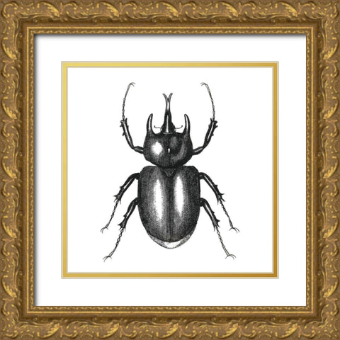 Bug Life Two Gold Ornate Wood Framed Art Print with Double Matting by Villa, Mlli