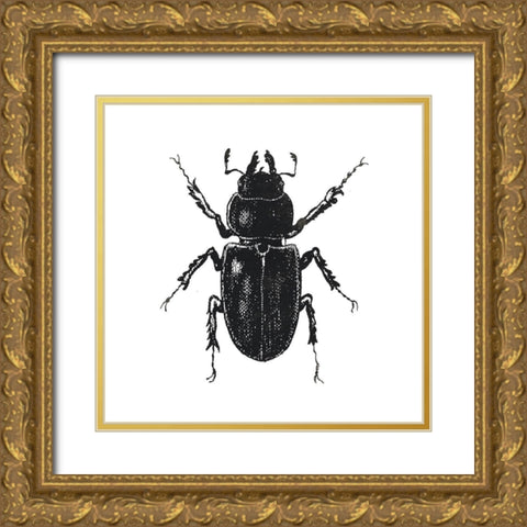 Bug Life Four Gold Ornate Wood Framed Art Print with Double Matting by Villa, Mlli