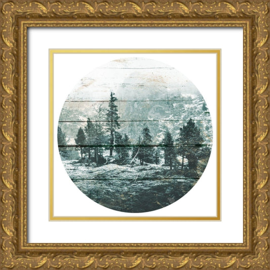 Perspective Image