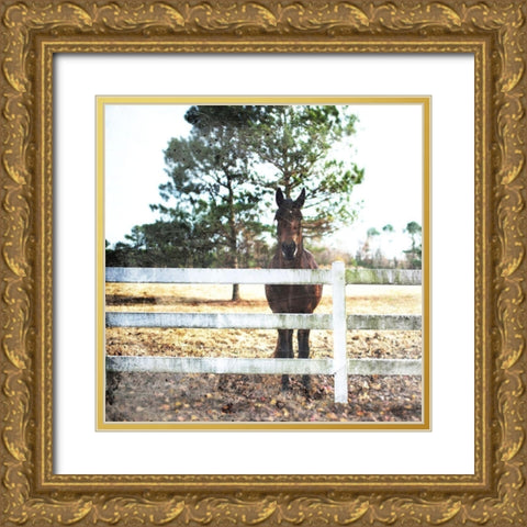 Horse Look Gold Ornate Wood Framed Art Print with Double Matting by Villa, Mlli