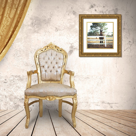 Horse Look 2 Gold Ornate Wood Framed Art Print with Double Matting by Villa, Milli