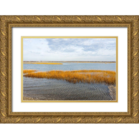 Winter Marsh Gold Ornate Wood Framed Art Print with Double Matting by Orlando