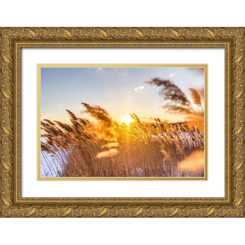 Marsh Grass Gold Ornate Wood Framed Art Print with Double Matting by Orlando