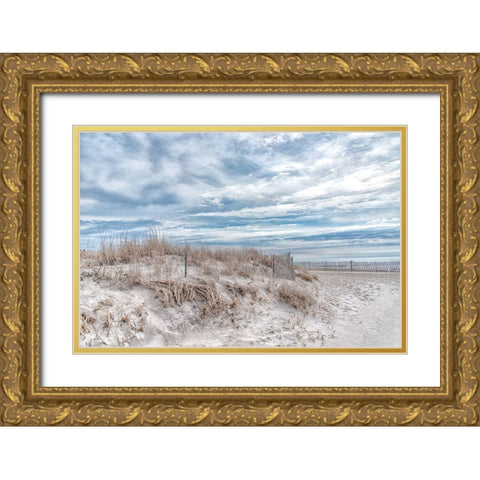 Lighthouse Beach Gold Ornate Wood Framed Art Print with Double Matting by DeLuca, Pat