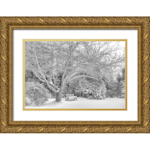 Aboretum December 2 Gold Ornate Wood Framed Art Print with Double Matting by DeLuca, Pat