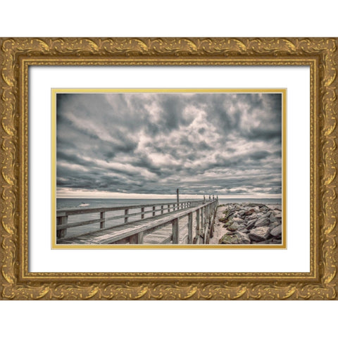Compassion Of Sensitivity Gold Ornate Wood Framed Art Print with Double Matting by DeLuca, Pat