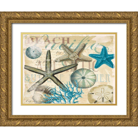 Beach Shells R1 Gold Ornate Wood Framed Art Print with Double Matting by Allen, Candace