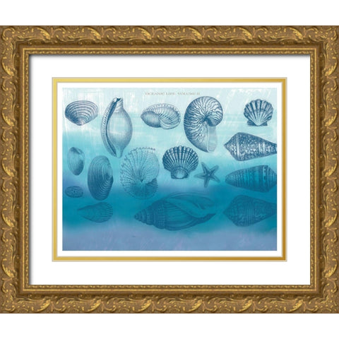 Watercolor Coast Shells 2 Gold Ornate Wood Framed Art Print with Double Matting by Allen, Candace