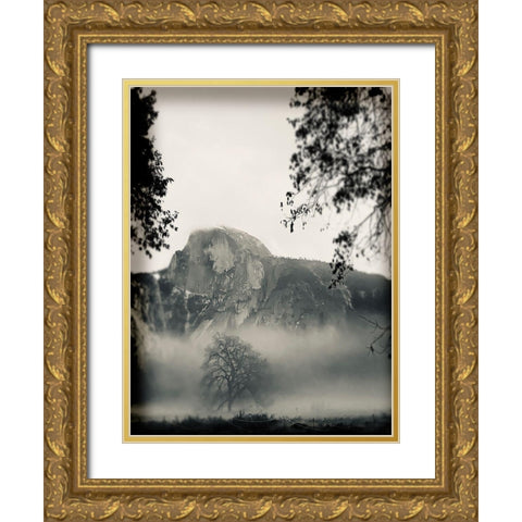 Mistty Mountains Gold Ornate Wood Framed Art Print with Double Matting by Lula Bijoux and Company