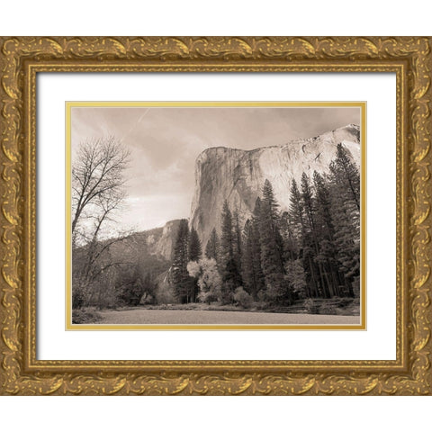 Mountain Wonder Gold Ornate Wood Framed Art Print with Double Matting by Lula Bijoux and Company