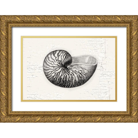 Shell Gold Ornate Wood Framed Art Print with Double Matting by Lula Bijoux and Company