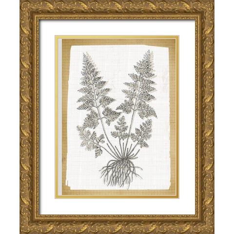 Farmhouse Ferns 1 Gold Ornate Wood Framed Art Print with Double Matting by Lula Bijoux and Company