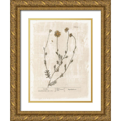 Farmhouse Flower 1 Gold Ornate Wood Framed Art Print with Double Matting by Lula Bijoux and Company
