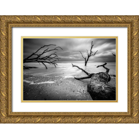 Mercurial Drift Gold Ornate Wood Framed Art Print with Double Matting by Taylor, Glenn